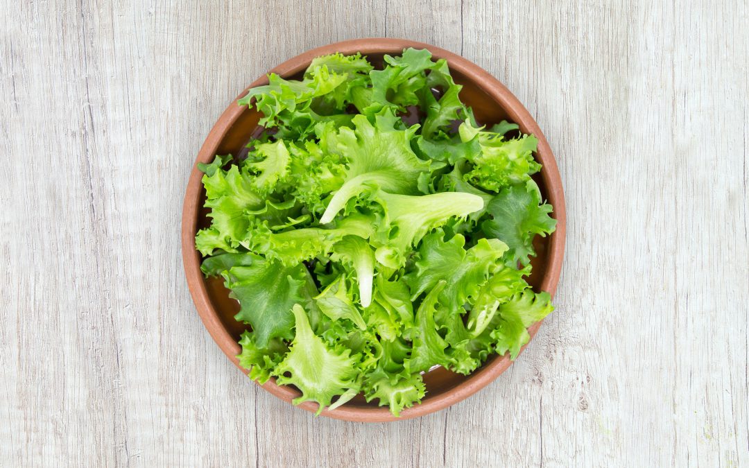COMO LAVAR Y PICAR LECHUGA